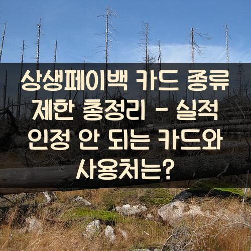 상생페이백 카드 종류 제한 총정리 - 실적 인정 안 되는 카드와 사용처는?