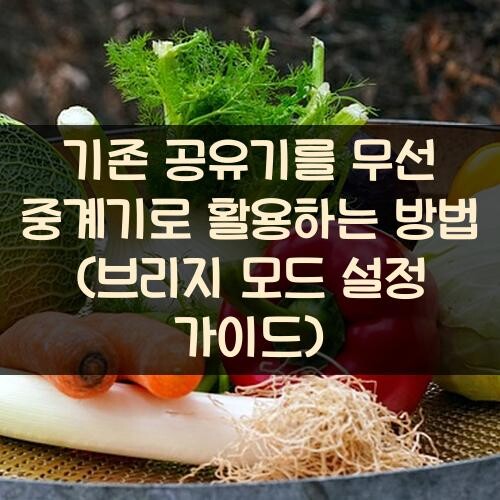 기존 공유기를 무선 중계기로 활용하는 방법 (브리지 모드 설정 가이드)