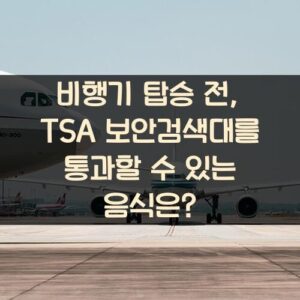 비행기 탑승 전, TSA 보안검색대를 통과할 수 있는 음식은?