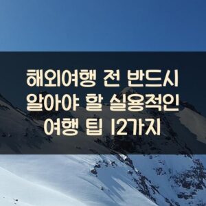 해외여행 전 반드시 알아야 할 실용적인 여행 팁 12가지
