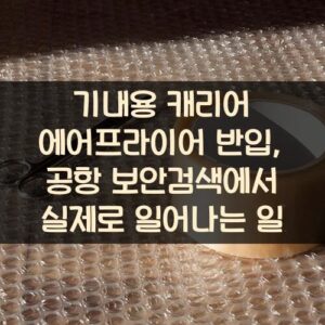 기내용 캐리어 에어프라이어 반입, 공항 보안검색에서 실제로 일어나는 일