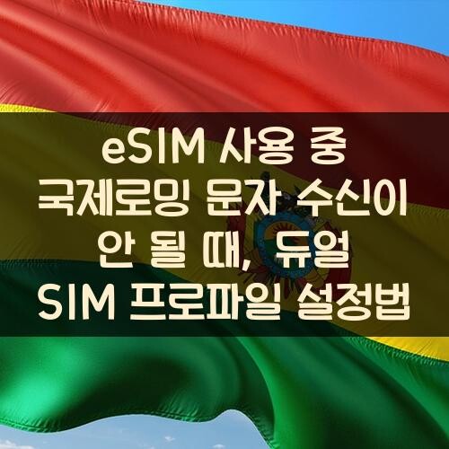 eSIM 사용 중 국제로밍 문자 수신이 안 될 때, 듀얼 SIM 프로파일 설정법