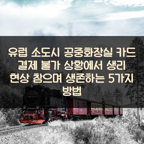 유럽 소도시 공중화장실 카드 결제 불가 상황에서 생리 현상 참으며 생존하는 5가지 방법
