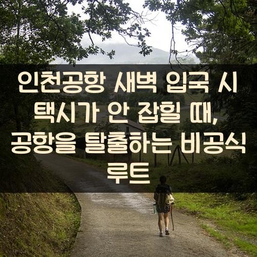 인천공항 새벽 입국 시 택시가 안 잡힐 때, 공항을 탈출하는 비공식 루트