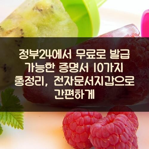 정부24에서 무료로 발급 가능한 증명서 10가지 총정리, 전자문서지갑으로 간편하게