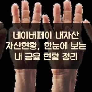 네이버페이 내자산 자산현황, 한눈에 보는 내 금융 현황 정리