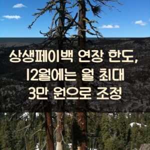 상생페이백 연장 한도, 12월에는 월 최대 3만 원으로 조정