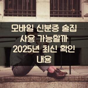 모바일 신분증 술집 사용 가능할까? 2025년 최신 확인 내용