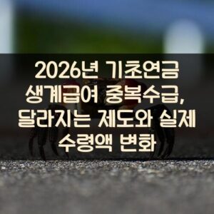 2026년 기초연금 생계급여 중복수급, 달라지는 제도와 실제 수령액 변화