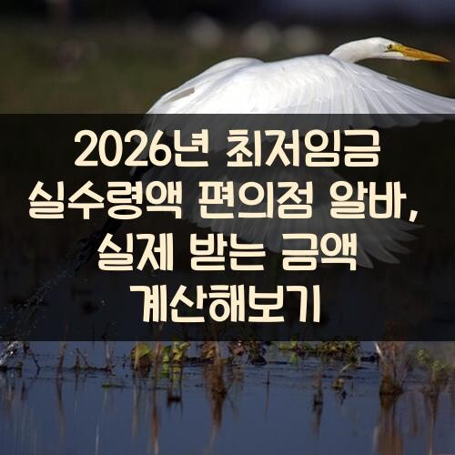 2026년 최저임금 실수령액 편의점 알바, 실제 받는 금액 계산해보기