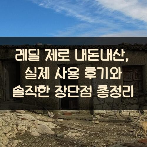 레딜 제로 내돈내산, 실제 사용 후기와 솔직한 장단점 총정리