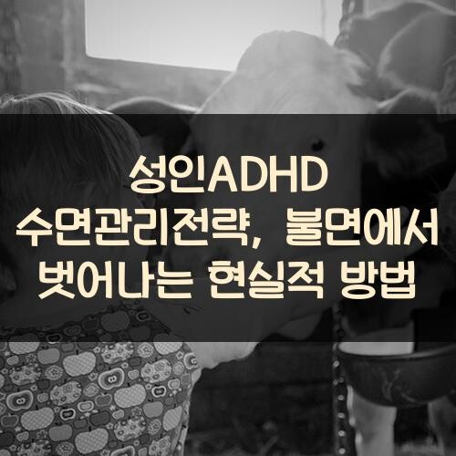 성인ADHD 수면관리전략, 불면에서 벗어나는 현실적 방법