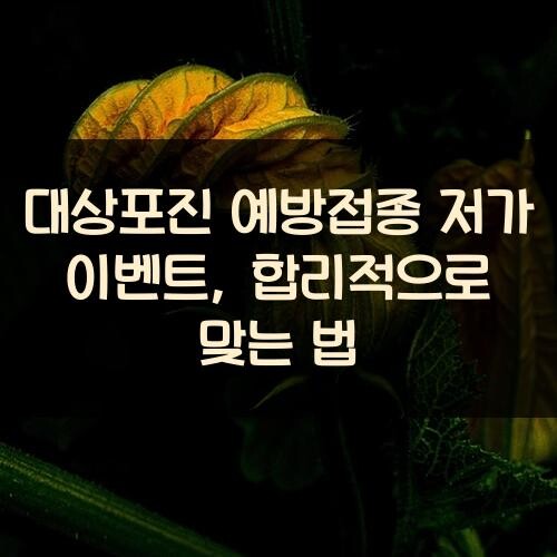 대상포진 예방접종 저가 이벤트, 합리적으로 맞는 법