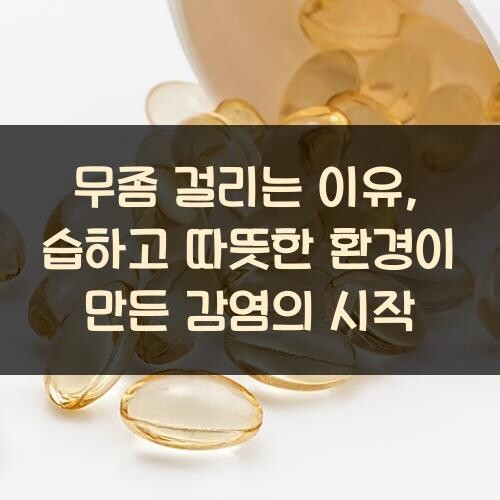 무좀 걸리는 이유, 습하고 따뜻한 환경이 만든 감염의 시작
