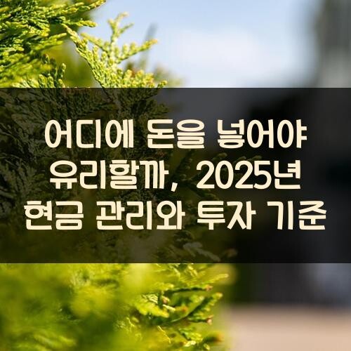 어디에 돈을 넣어야 유리할까, 2025년 현금 관리와 투자 기준