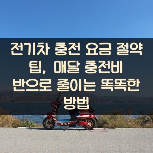 전기차 충전 요금 절약 팁, 매달 충전비 반으로 줄이는 똑똑한 방법