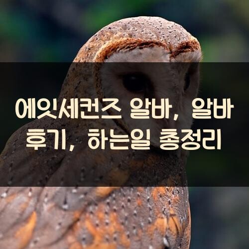 에잇세컨즈 알바, 알바 후기, 하는일 총정리