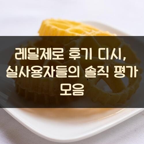 레딜제로 후기 디시, 실사용자들의 솔직 평가 모음