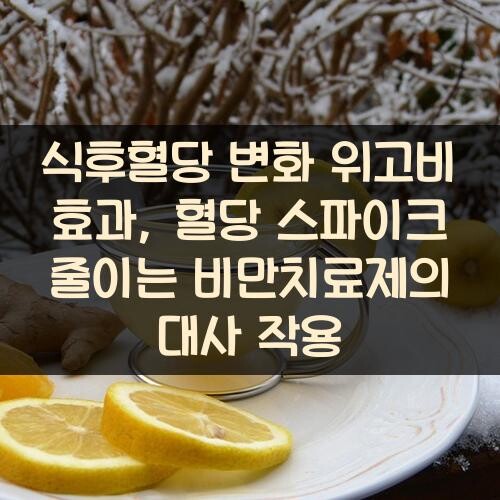 식후혈당 변화 위고비 효과, 혈당 스파이크 줄이는 비만치료제의 대사 작용