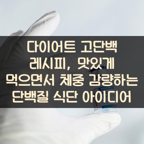 다이어트 고단백 레시피, 맛있게 먹으면서 체중 감량하는 단백질 식단 아이디어