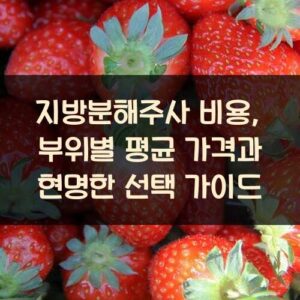 지방분해주사 비용, 부위별 평균 가격과 현명한 선택 가이드