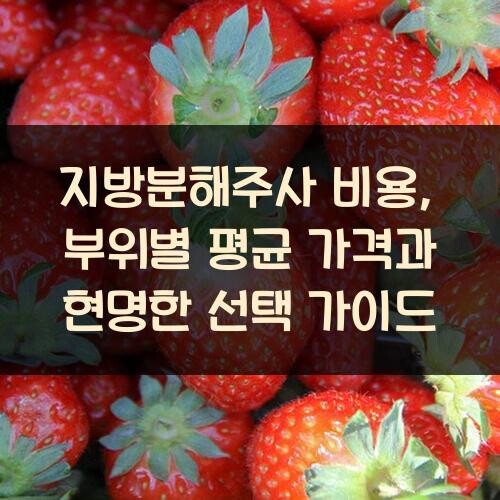 지방분해주사 비용, 부위별 평균 가격과 현명한 선택 가이드
