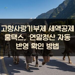 고향사랑기부제 세액공제 홈택스, 연말정산 자동 반영 확인 방법