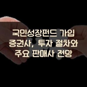 국민성장펀드 가입 증권사, 투자 절차와 주요 판매사 전망