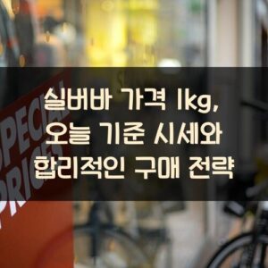 실버바 가격 1kg, 오늘 기준 시세와 합리적인 구매 전략