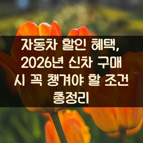 자동차 할인 혜택, 2026년 신차 구매 시 꼭 챙겨야 할 조건 총정리