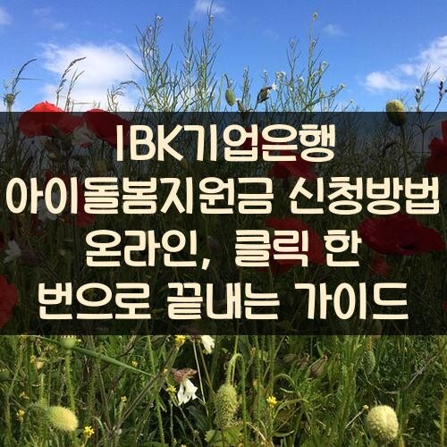 IBK기업은행 아이돌봄지원금 신청방법 온라인, 클릭 한 번으로 끝내는 가이드