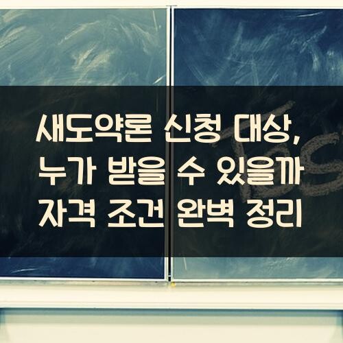 새도약론 신청 대상, 누가 받을 수 있을까? 자격 조건 완벽 정리