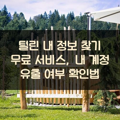 털린 내 정보 찾기 무료 서비스, 내 계정 유출 여부 확인법