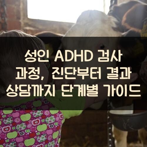 성인 ADHD 검사 과정, 진단부터 결과 상담까지 단계별 가이드