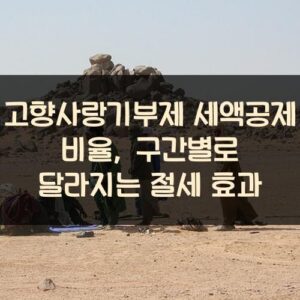 고향사랑기부제 세액공제 비율, 구간별로 달라지는 절세 효과