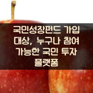 국민성장펀드 가입 대상, 누구나 참여 가능한 국민 투자 플랫폼