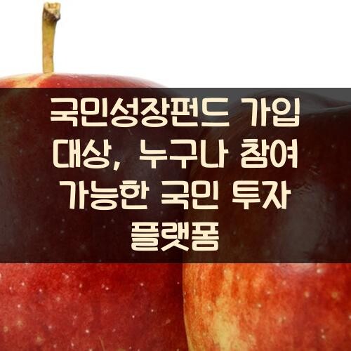국민성장펀드 가입 대상, 누구나 참여 가능한 국민 투자 플랫폼