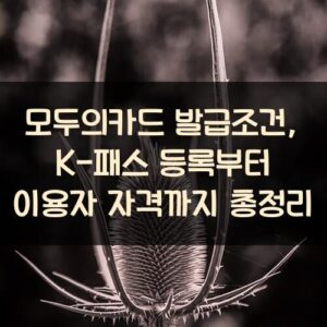 모두의카드 발급조건, K-패스 등록부터 이용자 자격까지 총정리