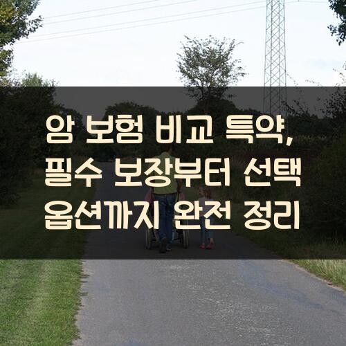 암 보험 비교 특약, 필수 보장부터 선택 옵션까지 완전 정리