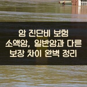 암 진단비 보험 소액암, 일반암과 다른 보장 차이 완벽 정리