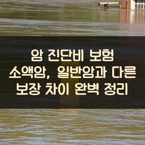 암 진단비 보험 소액암, 일반암과 다른 보장 차이 완벽 정리