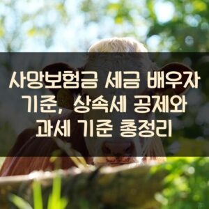 사망보험금 세금 배우자 기준, 상속세 공제와 과세 기준 총정리