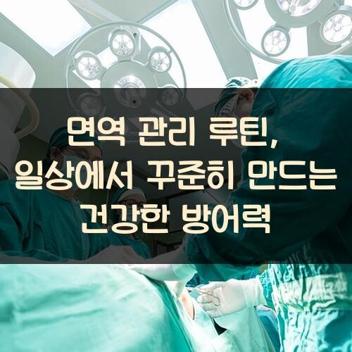면역 관리 루틴, 일상에서 꾸준히 만드는 건강한 방어력