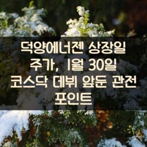 덕양에너젠 상장일 주가, 1월 30일 코스닥 데뷔 앞둔 관전 포인트