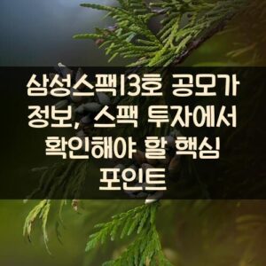 삼성스팩13호 공모가 정보, 스팩 투자에서 확인해야 할 핵심 포인트