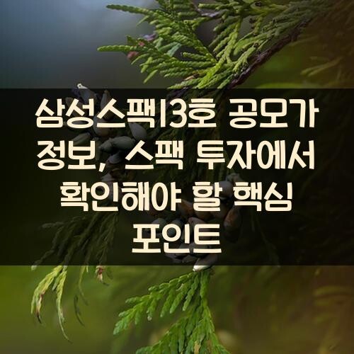 삼성스팩13호 공모가 정보, 스팩 투자에서 확인해야 할 핵심 포인트