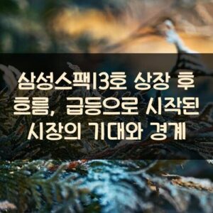 삼성스팩13호 상장 후 흐름, 급등으로 시작된 시장의 기대와 경계